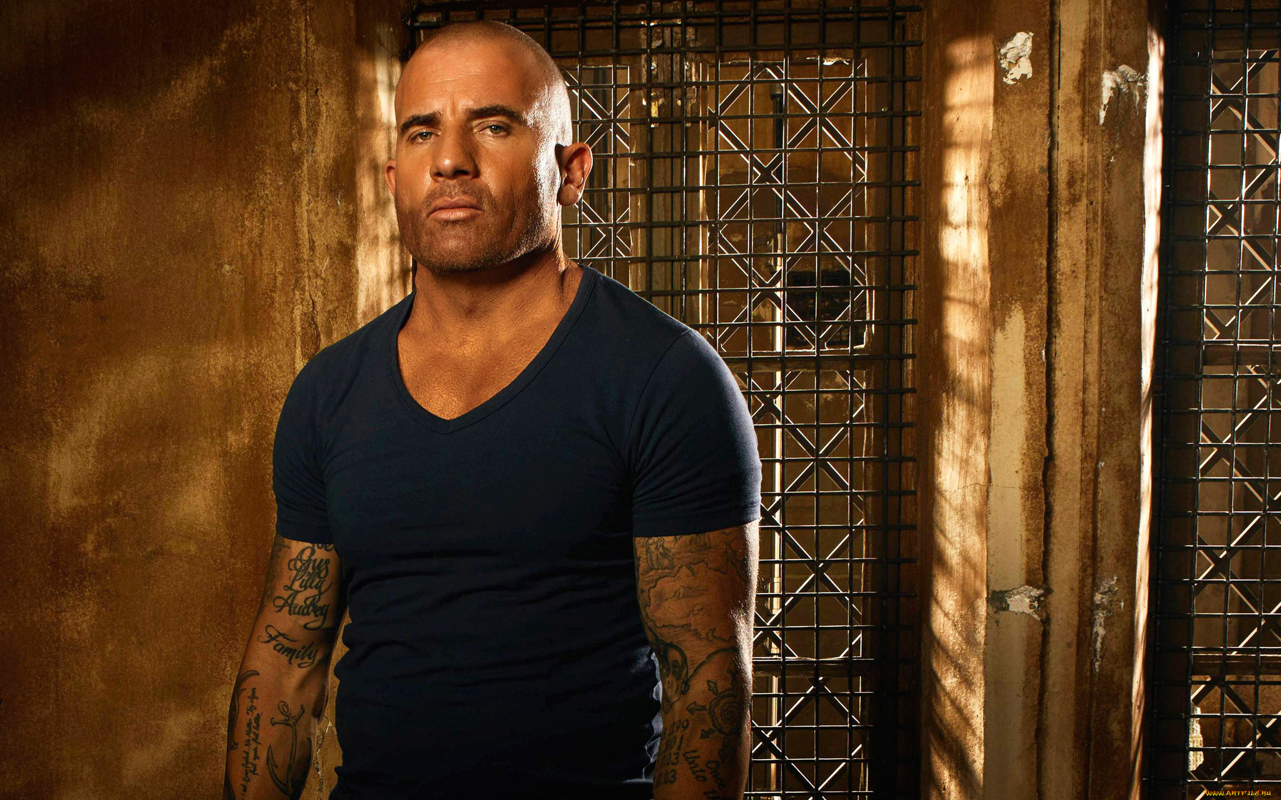  , prison break,  sequel, lincoln, burrows, dominic, purcell